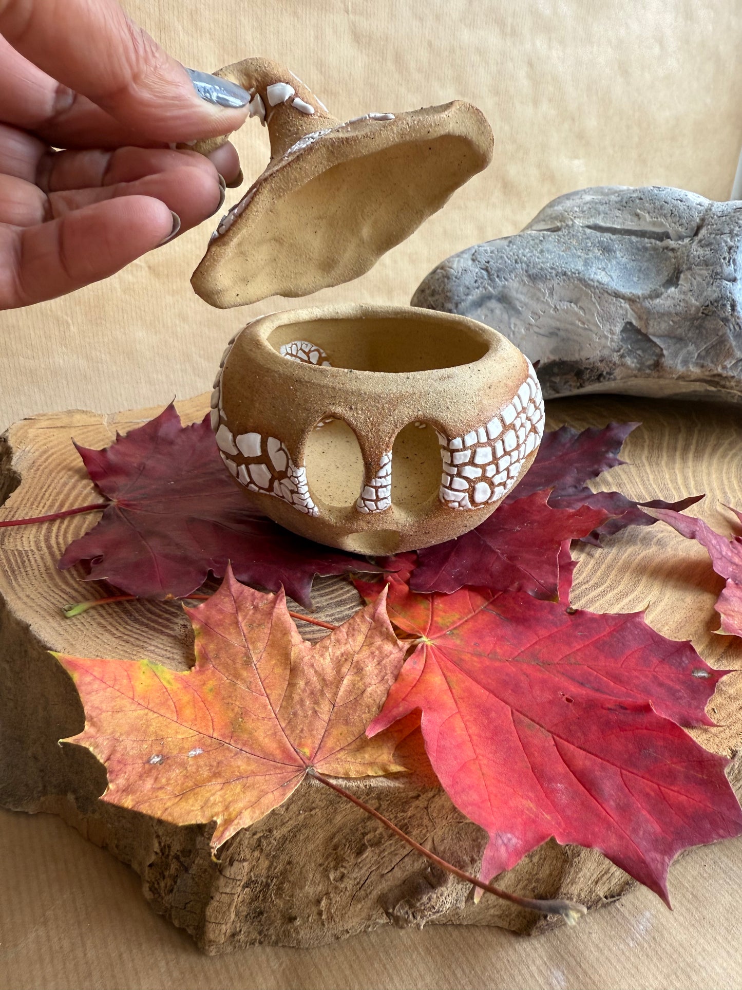 Pumpkin Pal 19