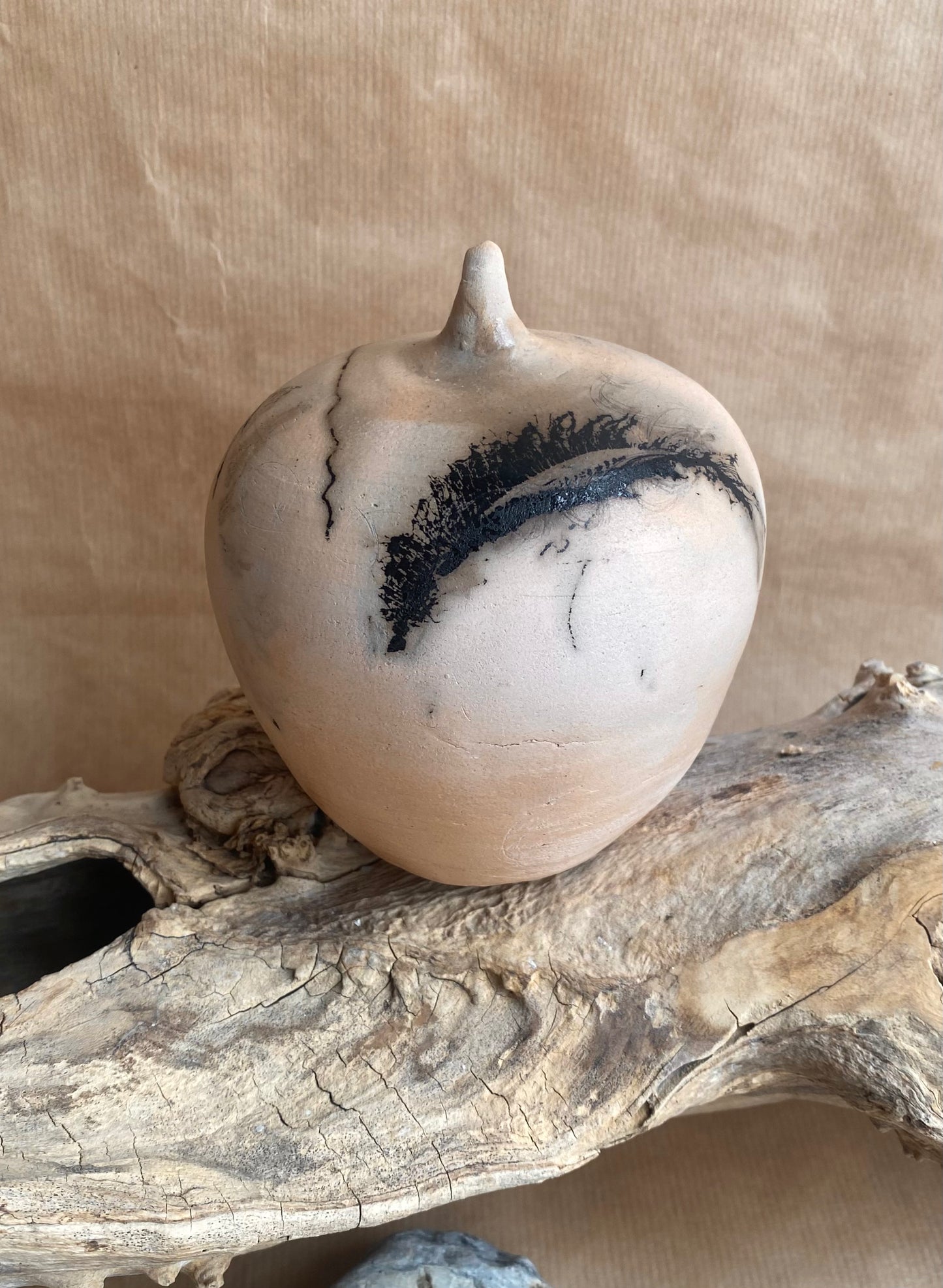 Horsehair Raku Vase 18