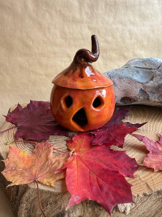 Pumpkin Pal 16