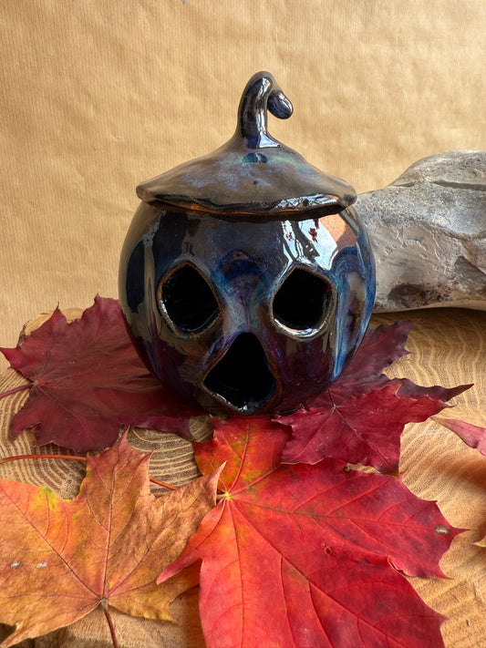 Pumpkin Pal 17