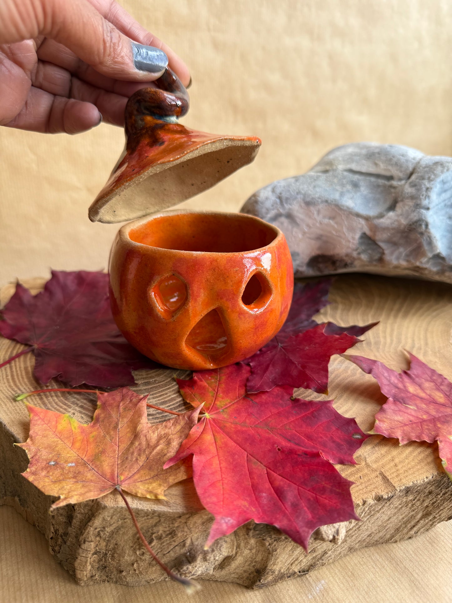 Pumpkin Pal 16