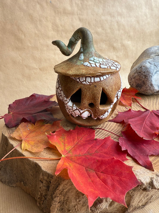 Pumpkin Pal 20
