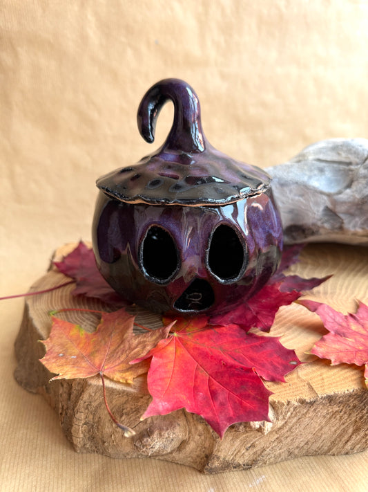 Pumpkin Pal 23